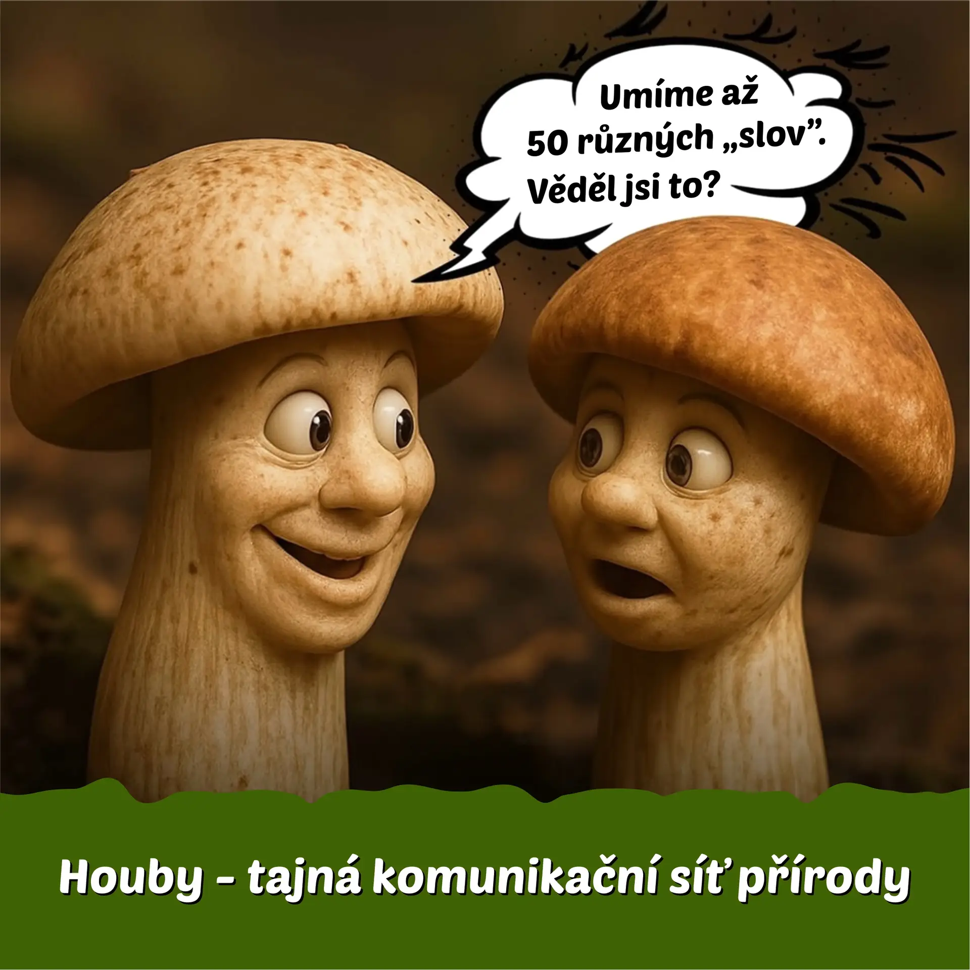 Badatelské odpoledne