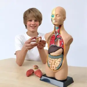 Badatelské odpoledne „Tajemství lidského těla“