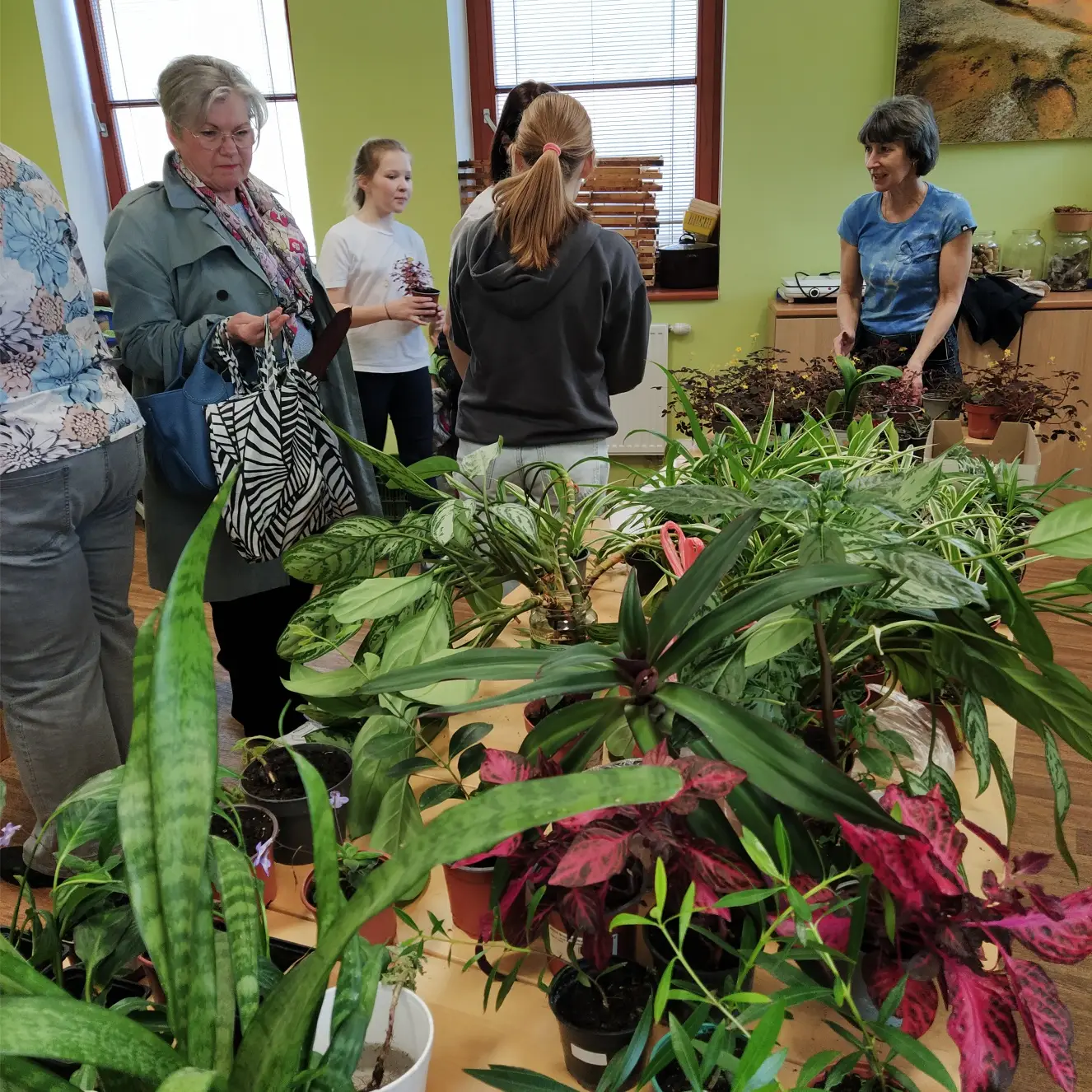 Jarní květinový swap