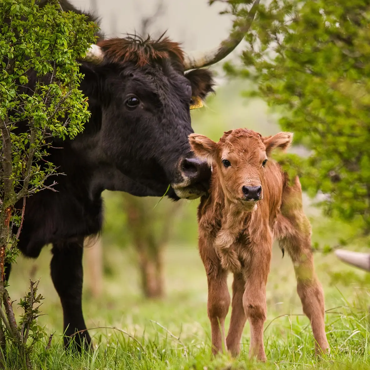Exkurze do přírodní rezervace Milovice