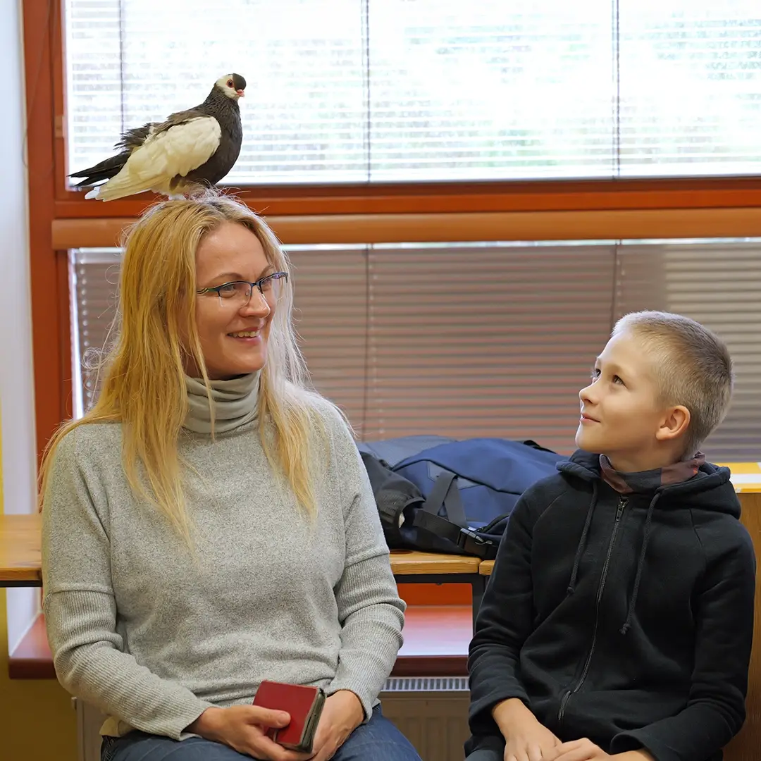 Živé přednášky - Holubi